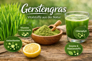 Gerstengras - das Superfood aus der Natur