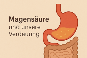 Die Magensäure