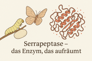 Serrapeptase, Enzym aus der Seidenraupe