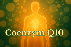 Coenzym Q10 Wirkung auf die Zellenergie
