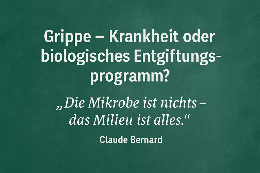 Die Grippe als biologisches Entgiftungsprogramm