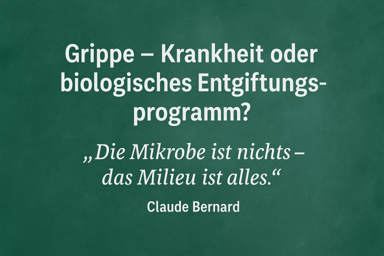 Die Grippe als biologisches Entgiftungsprogramm