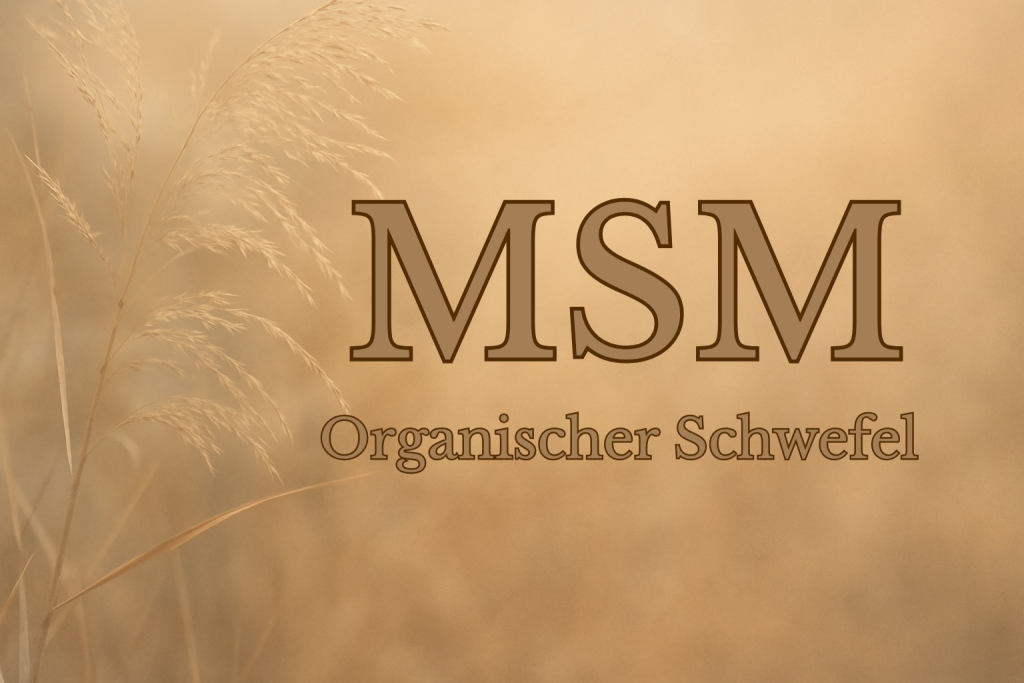 MSM Organischer Schwefel als Baustein des Körpers