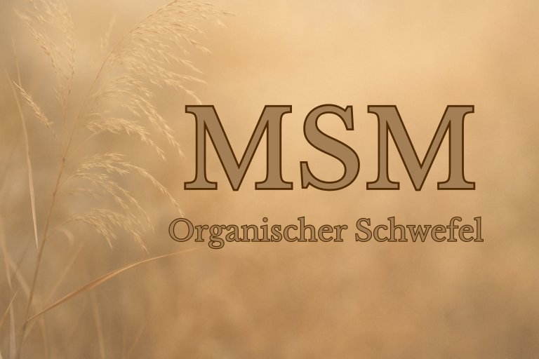 MSM Organischer Schwefel als Baustein des Körpers