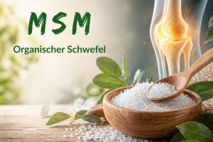 MSM Organischer Schwefel als Baustein des Körpers