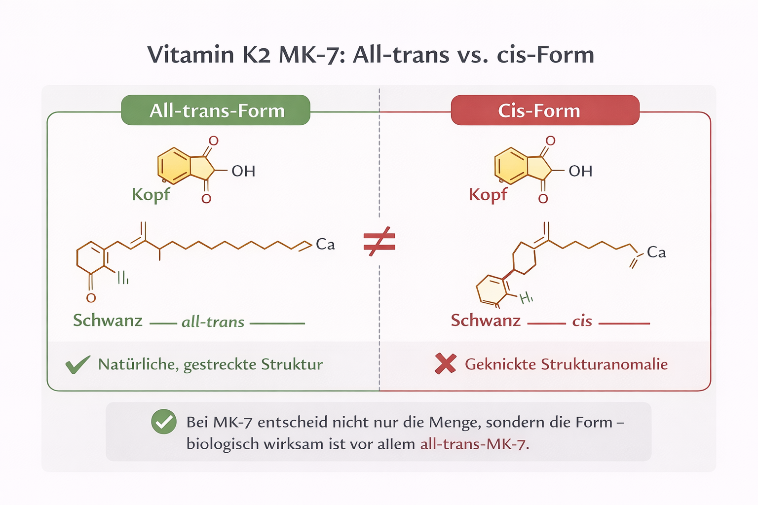 Die Unterschiede bei Vitamin K2 mk-7 der all-trans und der cis-Form
