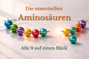 Essentielle Aminosäuren müssen dem Körper zugeführt werden. Abbildung der Essentiellen Aminosäuren als Eiweiß-Kette