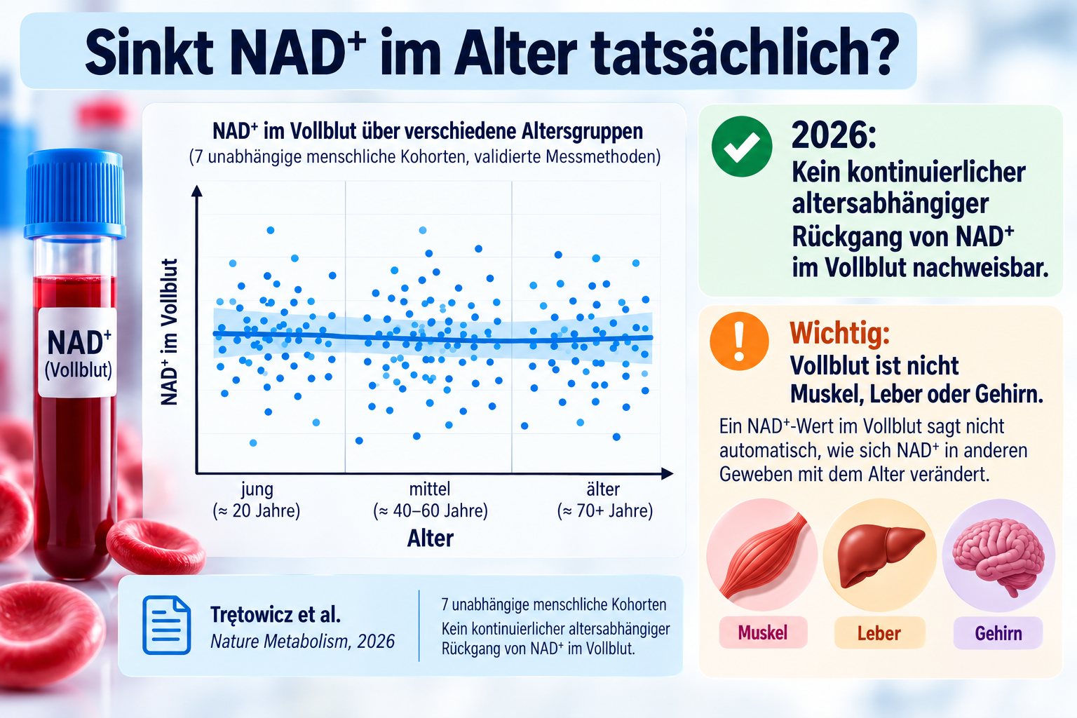 Die Veränderung des NAD+ Gehaltes nach Alter