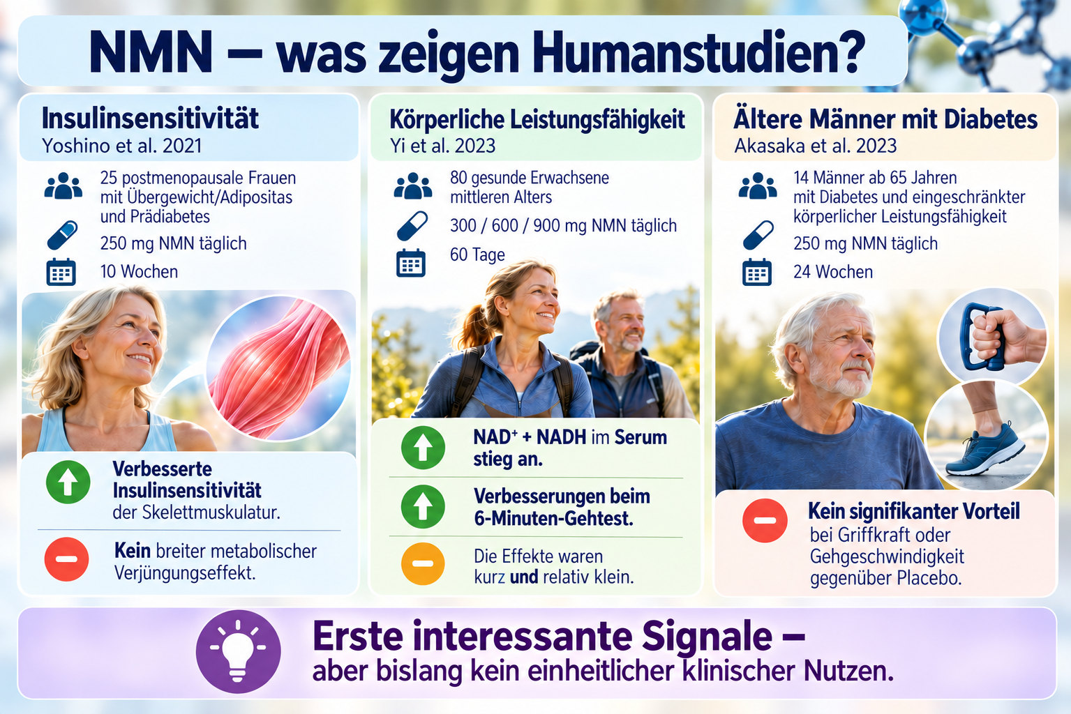 NMN - Was Humanstudien zeigen
