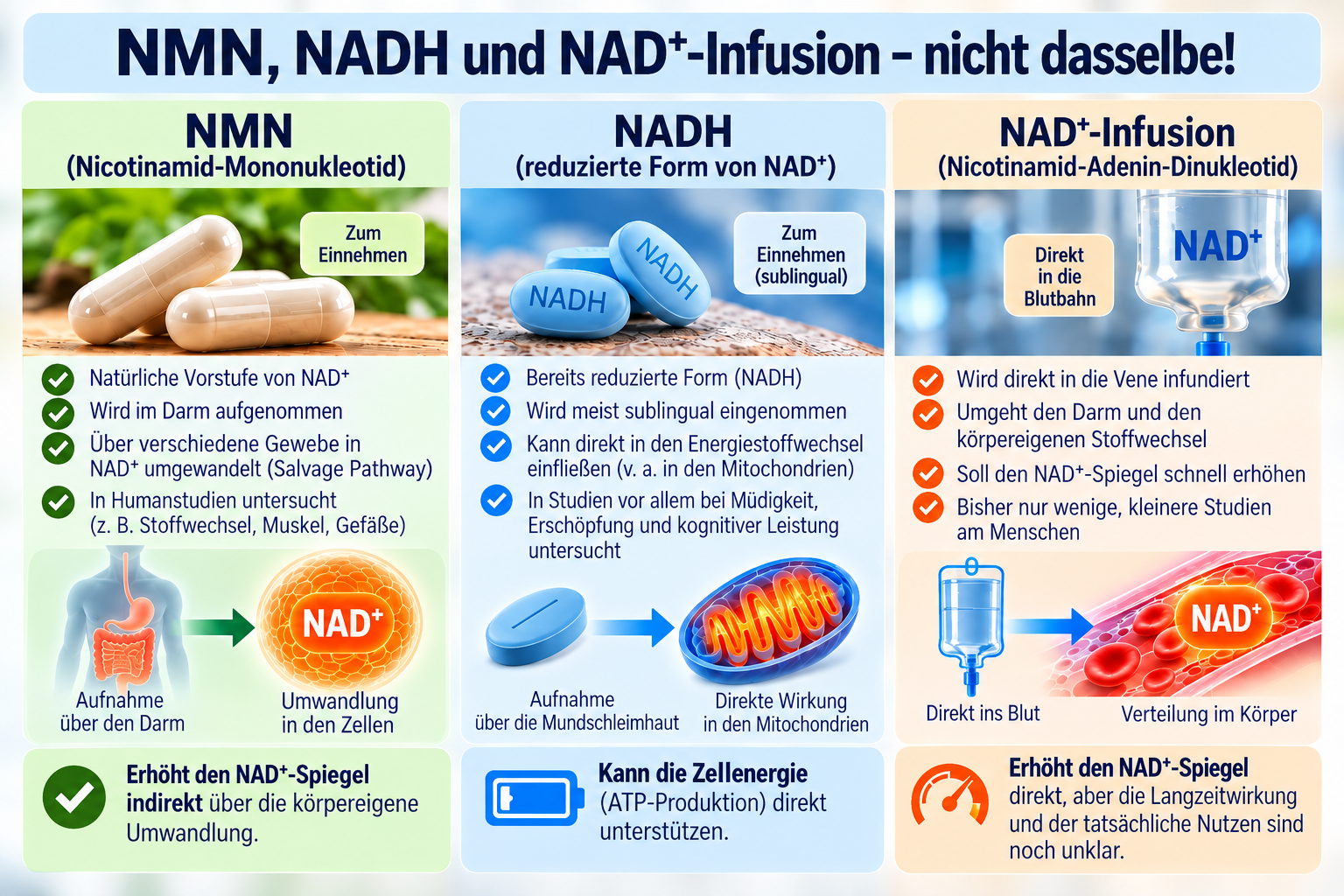 NMN, NADH und NAD+ im Vergleich der Anwendung